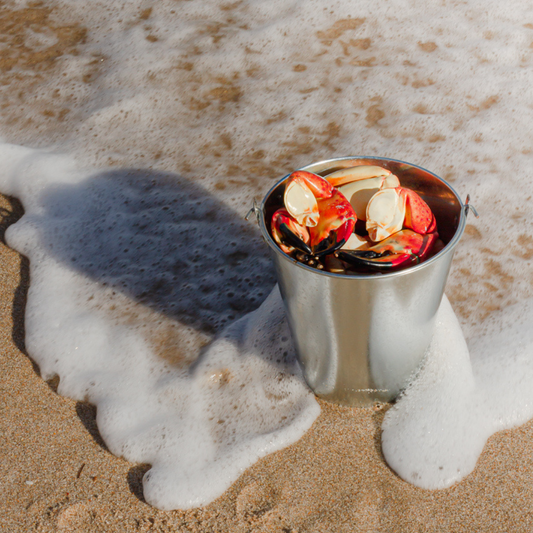 A bucket of stone crab claws sit in sand with water lapping at the bucket