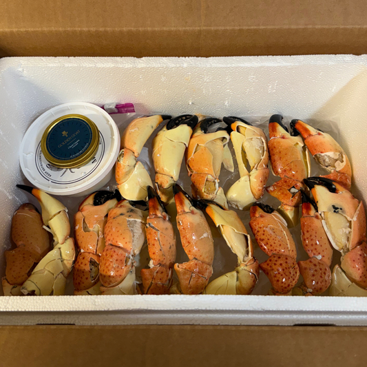 Fresh stone crab claws in a styrofoam box filled with ice underneath the claws