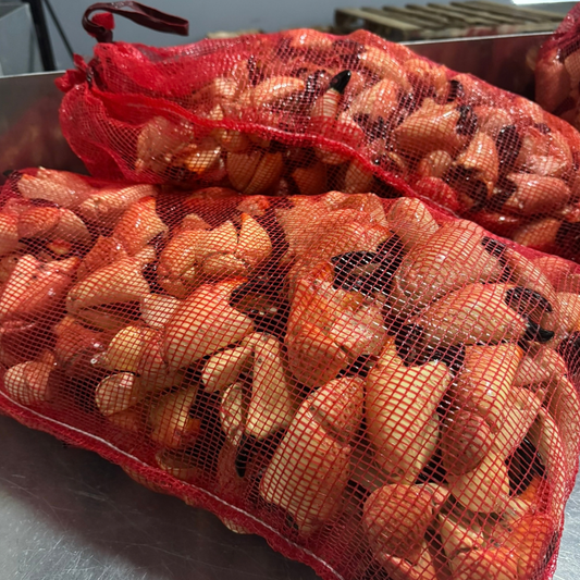 Two large mesh bags filled with stone crab claws for wholesale purchasing