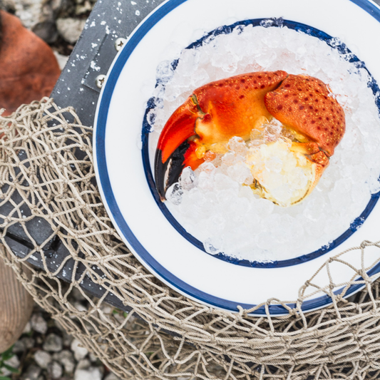 Stone crab claw on a white plate with blue piping on it, rested upon a net and rocks