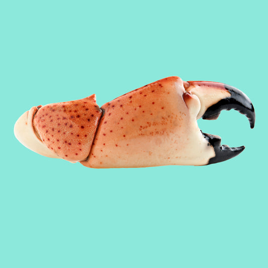 Colossal Stone Crab Claws