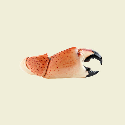 Medium Stone Crab Claws